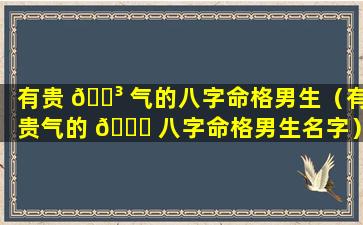 有贵 🌳 气的八字命格男生（有贵气的 🐅 八字命格男生名字）